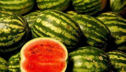 56吃瓜网 黑吃,揭秘“黑吃黑”背后的网络江湖风云